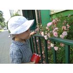 Zdjęcia użytkowników Coolpad Torino