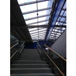 Zdjęcia użytkowników Coolpad Torino