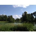 Zdjęcia użytkowników Coolpad Torino