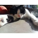 ZDJĘCIA Z TEGO TELEFONU