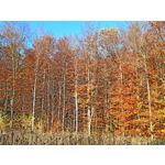 Zdjęcia użytkowników Cubot X30 Zdjęcia użytkowników Cubot X30