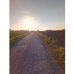 Zdjęcia użytkowników Doogee BL12000 Pro