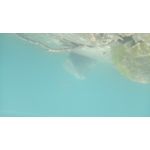 Zdjęcia użytkowników Doogee S60