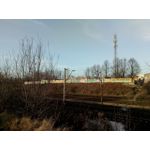 Zdjęcia użytkowników Elephone S7