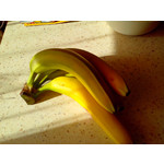 Zdjęcia użytkowników Elson Cynus T2