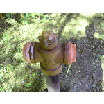 Zdjęcia użytkowników Elson Cynus T2