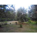 Zdjęcia użytkowników Evolveo XtraPhone 5.3 QC