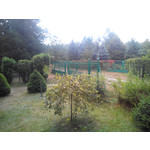 Zdjęcia użytkowników Evolveo XtraPhone 5.3 QC