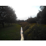 Zdjęcia użytkowników Evolveo XtraPhone 5.3 QC