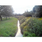 Zdjęcia użytkowników Evolveo XtraPhone 5.3 QC