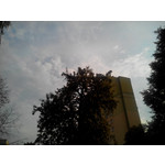 Zdjęcia użytkowników Evolveo XtraPhone 5.3 QC