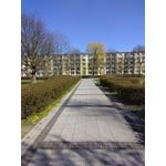 ZDJĘCIA Z TEGO TELEFONU