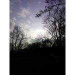 Zdjęcia użytkowników Flipkart Billion Capture+ Zdjęcia użytkowników Flipkart Billion Capture+