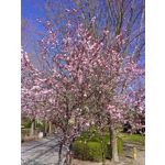 ZDJĘCIA Z TEGO TELEFONU