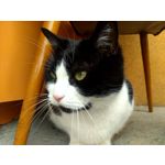 ZDJĘCIA Z TEGO TELEFONU ZDJĘCIA Z TEGO TELEFONU