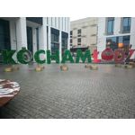 Zdjęcia użytkowników Fossibot F102