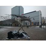 Zdjęcia użytkowników Fossibot F102