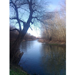 Zdjęcia użytkowników Gigabyte GSmart G1362