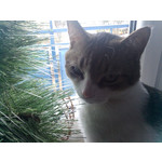 Zdjęcia użytkowników Gigabyte GSmart G1362