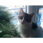 Zdjęcia użytkowników Gigabyte GSmart G1362