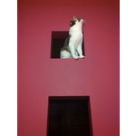 Zdjęcia użytkowników Gigabyte GSmart Rio R1