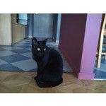 Zdjęcia użytkowników Gigabyte GSmart Rio R1