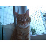 Zdjęcia użytkowników Gigabyte GSmart Rio R1