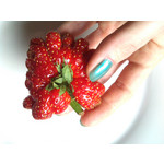 Zdjęcia użytkowników Gigabyte GSmart Rio R1