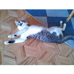 Zdjęcia użytkowników Gigabyte GSmart Rio R1