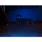 Zdjęcia użytkowników Gigabyte GSmart Rio R1