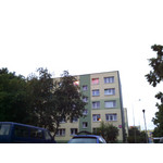 Zdjęcia użytkowników Gigabyte GSmart Rio R1