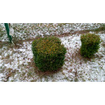 Zdjęcia użytkowników Goclever Insignia 5 Zdjęcia użytkowników Goclever Insignia 5