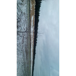 Zdjęcia użytkowników Goclever Insignia 5 Zdjęcia użytkowników Goclever Insignia 5