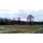 Zdjęcia użytkowników Goclever Insignia 5 Zdjęcia użytkowników Goclever Insignia 5