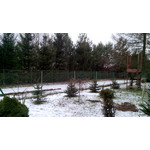 Zdjęcia użytkowników Goclever Insignia 5 Zdjęcia użytkowników Goclever Insignia 5