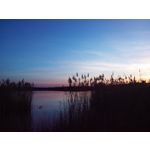 Zdjęcia użytkowników Goclever Insignia 500 Zdjęcia użytkowników Goclever Insignia 500