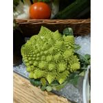 Zdjęcia użytkowników Google Pixel 2 XL