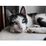 Zdjęcia użytkowników Google Pixel 2 XL