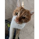 Zdjęcia użytkowników Google Pixel 2 XL