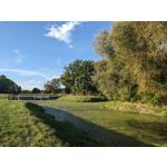 Zdjęcia użytkowników Google Pixel 4a