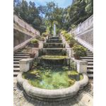 Zdjęcia użytkowników Google Pixel 6 Pro