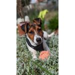 Zdjęcia użytkowników Google Pixel 6 Pro