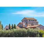 Zdjęcia użytkowników Google Pixel 6 Pro