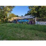 Zdjęcia użytkowników Google Pixel 6 Pro