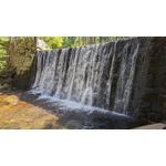 Zdjęcia użytkowników Google Pixel 6 Pro