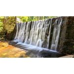 Zdjęcia użytkowników Google Pixel 6 Pro