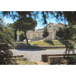 Zdjęcia użytkowników Google Pixel 6 Pro