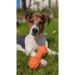 Zdjęcia użytkowników Google Pixel 6 Pro