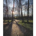 Zdjęcia użytkowników Google Pixel 6 Pro