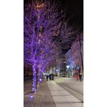 Zdjęcia użytkowników Google Pixel 6 Pro